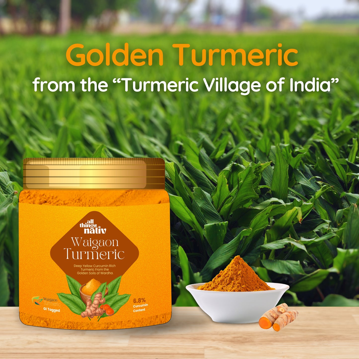 Waigaon Turmeric Powder (160g)